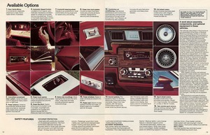 1979 Chevrolet Full Size (Cdn)-12-13.jpg